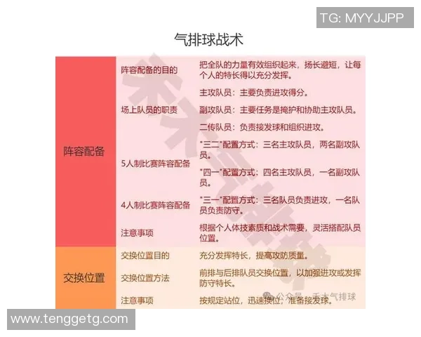 深入分析上海排球队的转换打法及其战术优势与应用