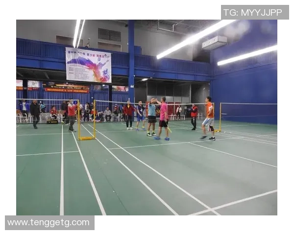 深圳羽毛球队战术分析与发展探讨聚焦羽毛球竞技新趋势